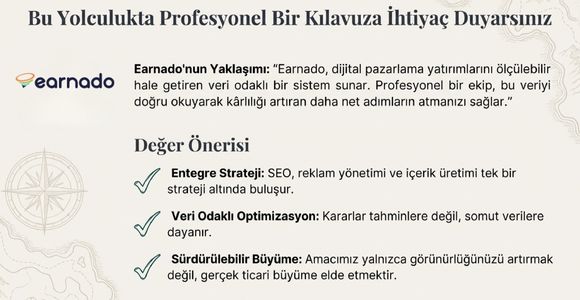 profesyonel-roi-klavuzu